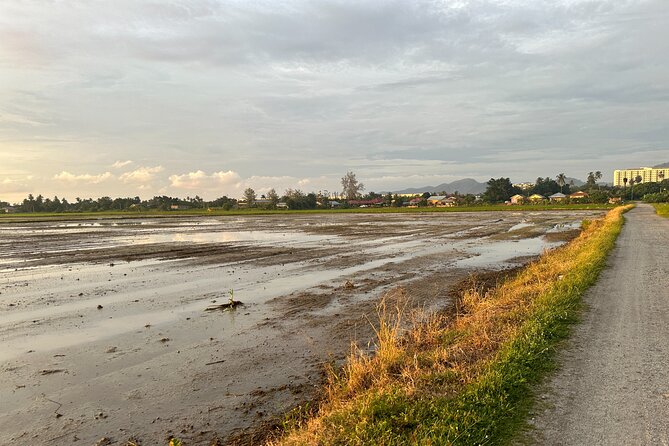 Buggy Ride in Paddy Field, Balik Pulau and Penang