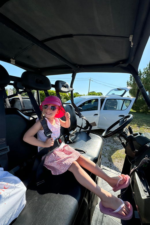 Buggy Ride - Overview of Buggy Ride