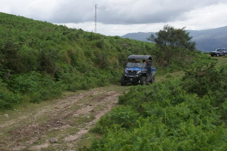 Buggy Tour - Tour Overview