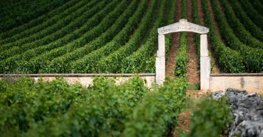 Burgundy Vineyards: Luxury Private Tours - Tour Overview and Pricing