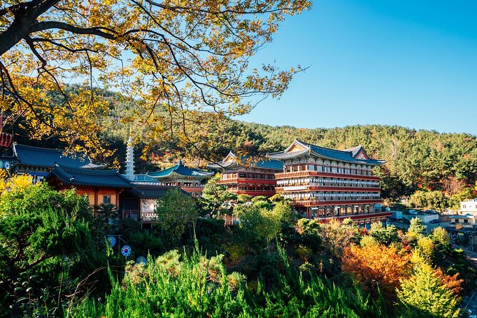 Busan Cultural Highlights and Scenic Full-Day Tour