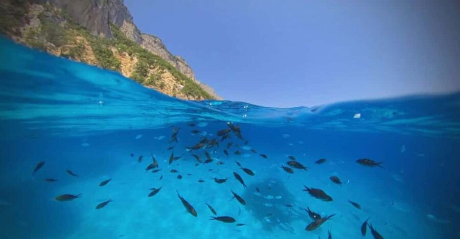 Cala Gonone: Dinghy Cruise With Aperitivo