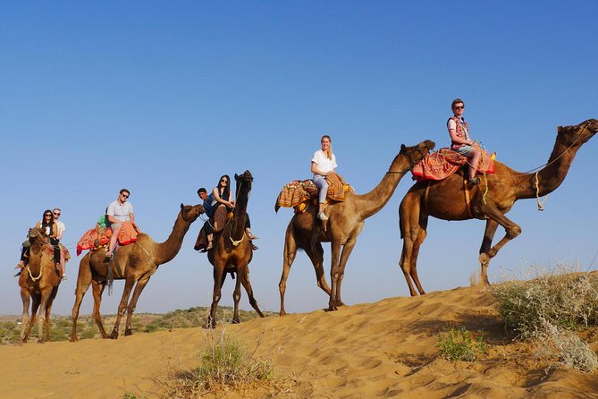 Camel Safari Half Day Tour In Jodhpur - Tour Location