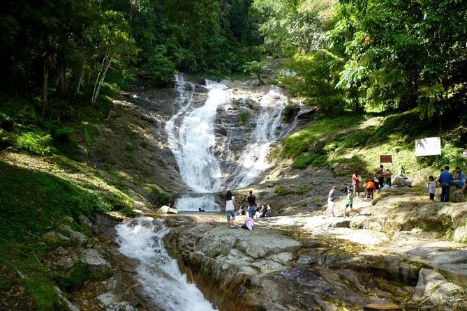 Cameron Highlands Full Day Nature Tour