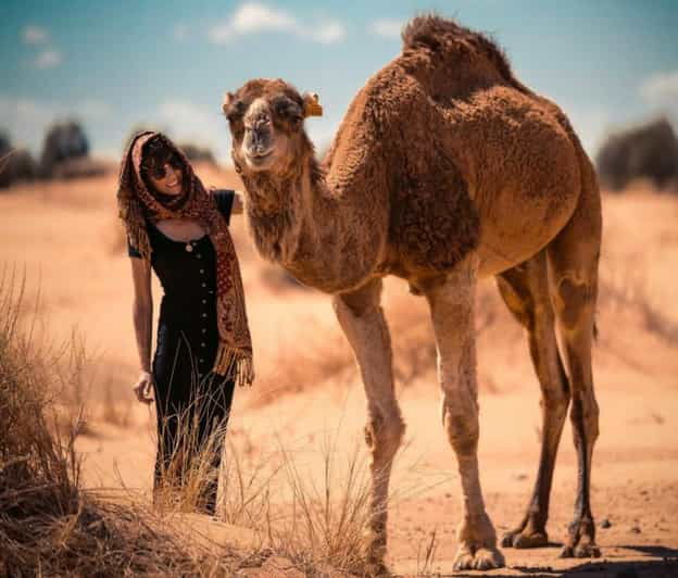 Cappadocia: Camel Safari With Transfer - Activity Overview