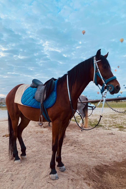 Cappadocia: Fascinating Horse Tour in Göreme Valleys