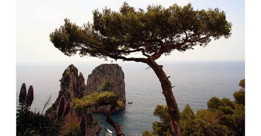 CAPRI: DAILY TRIP WITH FREE TIME IN THE ISLAND