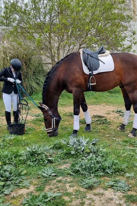 Cascais: Pony Club at Riding Club