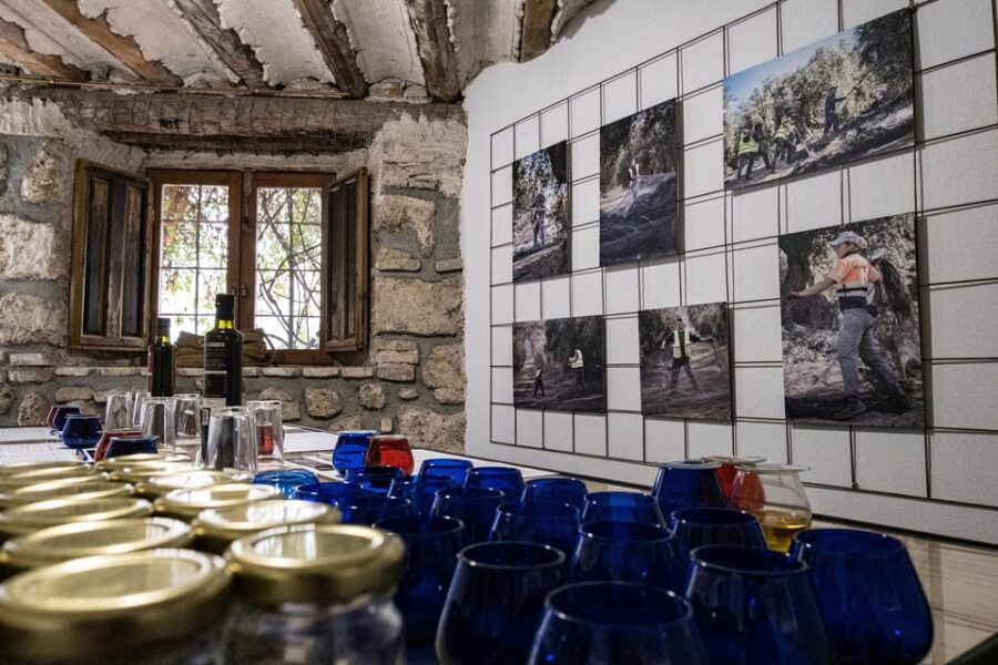 Cazorla: Olive Oil Tasting