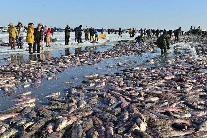 2 Best Fishing Tours In Harbin