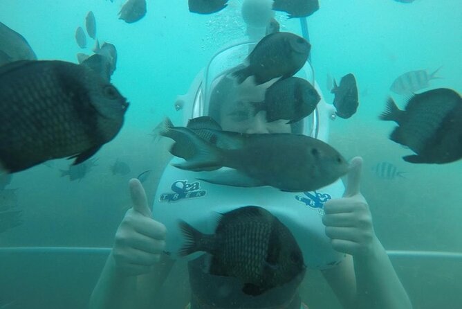 Cham Island Sea Walk and Snorkeling Experience by Speedboat