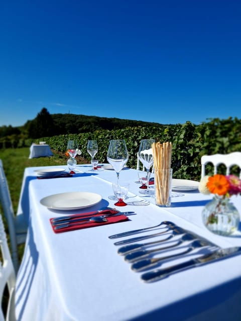 Champagne Vineyards Picnic (With Transportation)