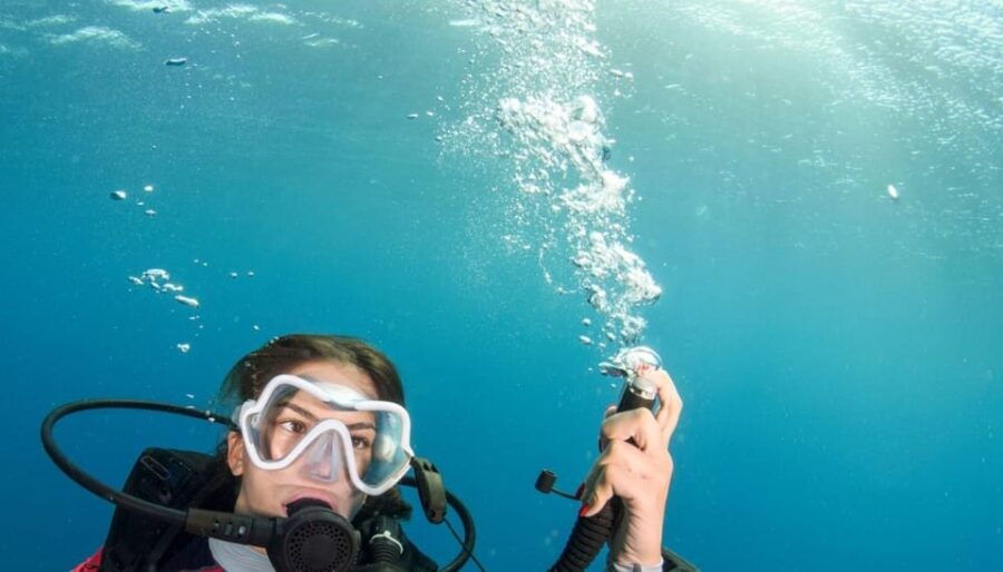 Chania: 2 Boat Dives for Certified Divers - Overview of the Activity