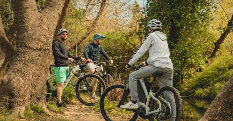 Chania: E-Bike Tour From Platanias-Agias Lake and Vatolakos - Experience Highlights