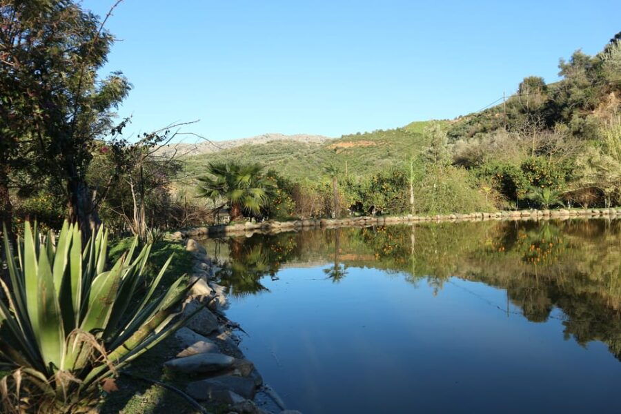 Chania: Nature Road Trip With Botanical Garden and Lunch! - Overview of the Experience