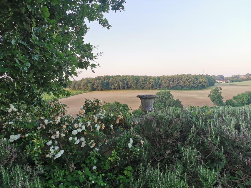 Château Arton: VISIT AND WINE TASTING - Overview of Château Arton