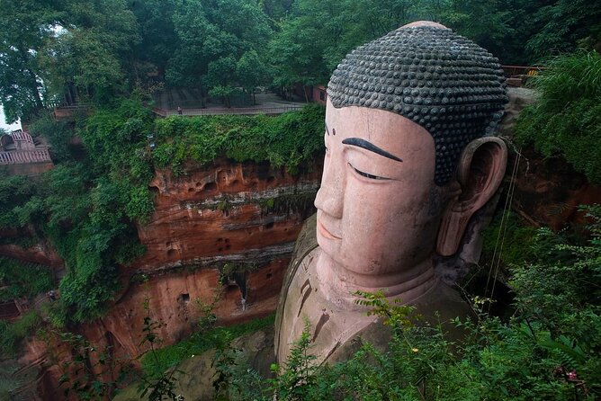 Chengdu Private Day Trip: the Research Base of Giant Panda & Leshan Giant Buddha