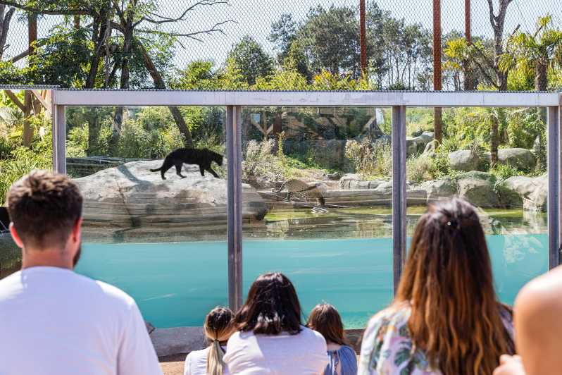 Chessy: Parrot World Immersive Animal Park Day Pass - Ticket Pricing and Cancellation