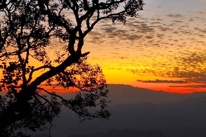 Chiang Mai Sunset Point, Wat Pha Lat, Wat Doi Suthep, Wat Umong