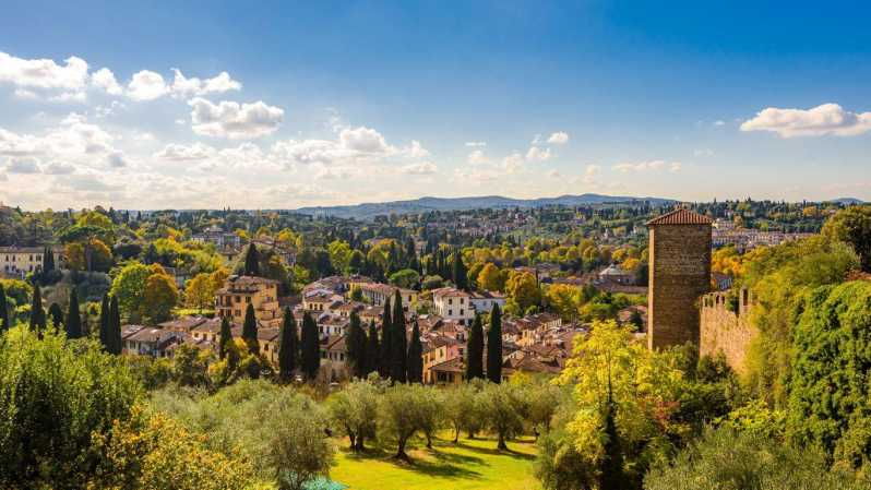 Chianti 2.5-Hour E-Bike Private Tour + Olive Oil and Gelato