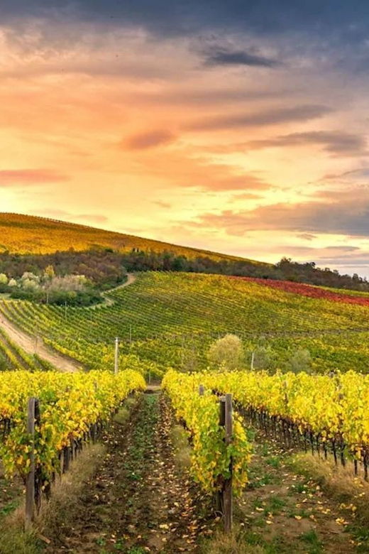 Chianti Helicopter Flight Tour