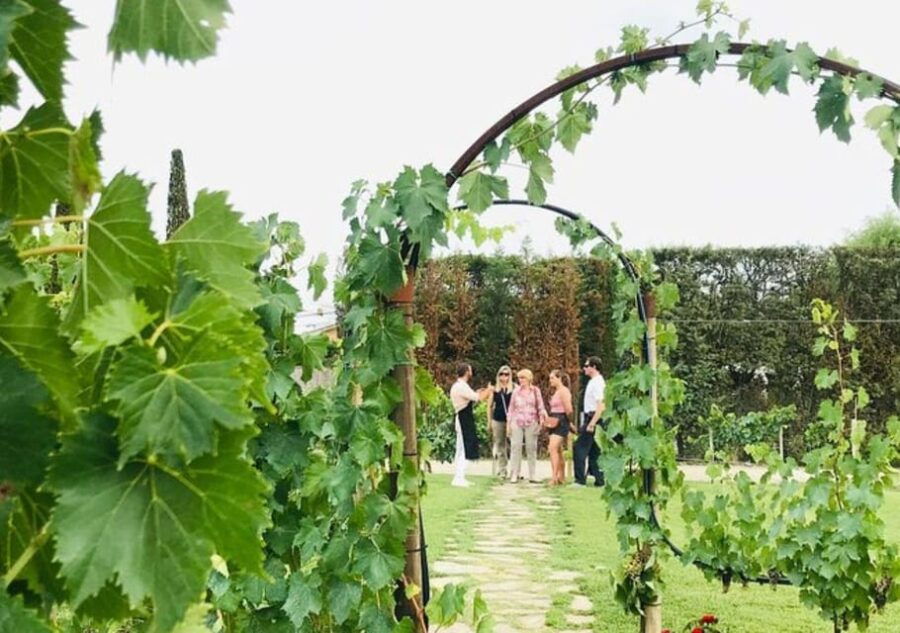 Chianti Semi-Private Wine Tasting and Dinner in Vineyard