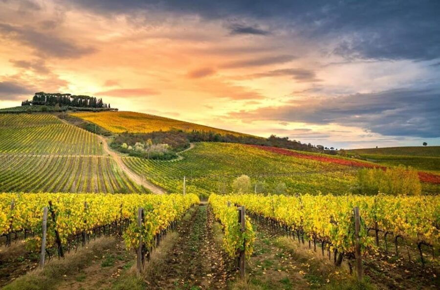 Chianti Wine Helipanoramic Flight Tour - Overview of the Tour