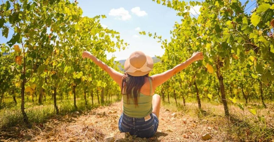 Chianti Wine Region From Florence With Wine Tastings - Tour Overview and Pricing