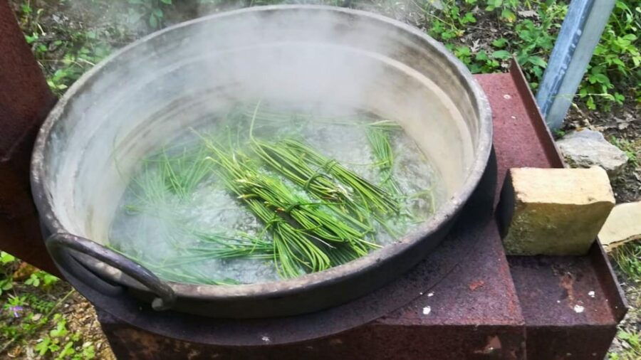 Cilento: Discovering the Art of Broom Spinning in Tortorella - Overview of Broom Spinning
