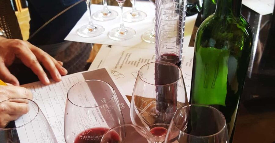 Cognac Distillery and Bordeaux Winery: Private Tour