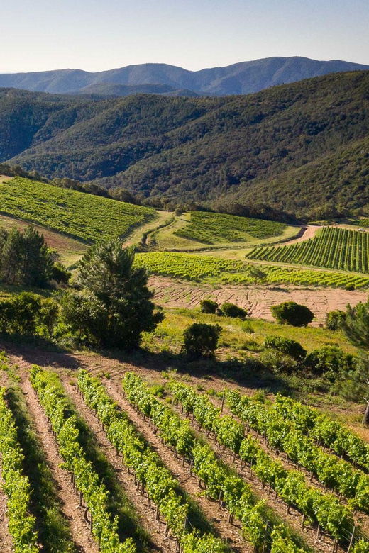 Cogolin: Guided Group Tour at Saint Maur