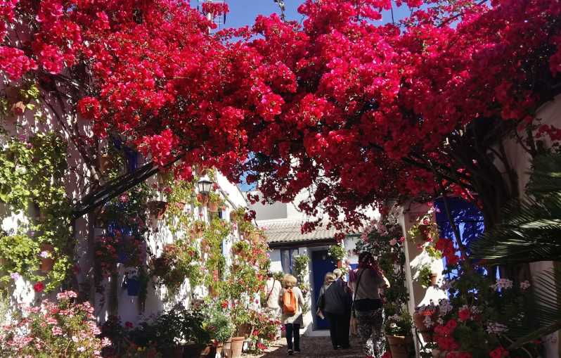 Cordoba Courtyards by Bike, Electric Bike - Tour Overview and Pricing
