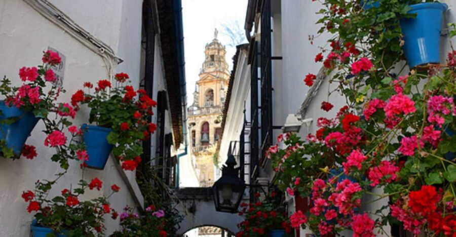 Córdoba: Mosque-Cathedral of Cordoba Private Walking Tour - Mosque-Cathedrals Historical Significance