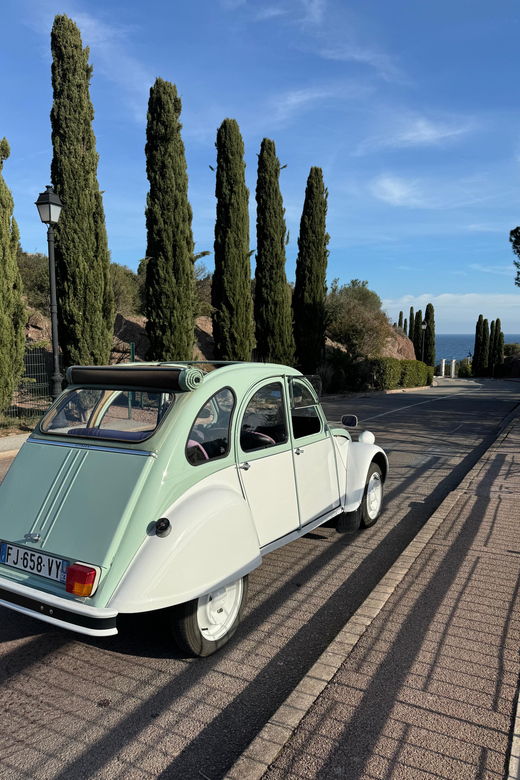 2 Best Wine Tours In Frejus Saint Raphael