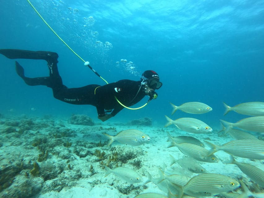 Corralejo: Lobos Island Beginner Snorkel and Dive Boat Tour - Overview