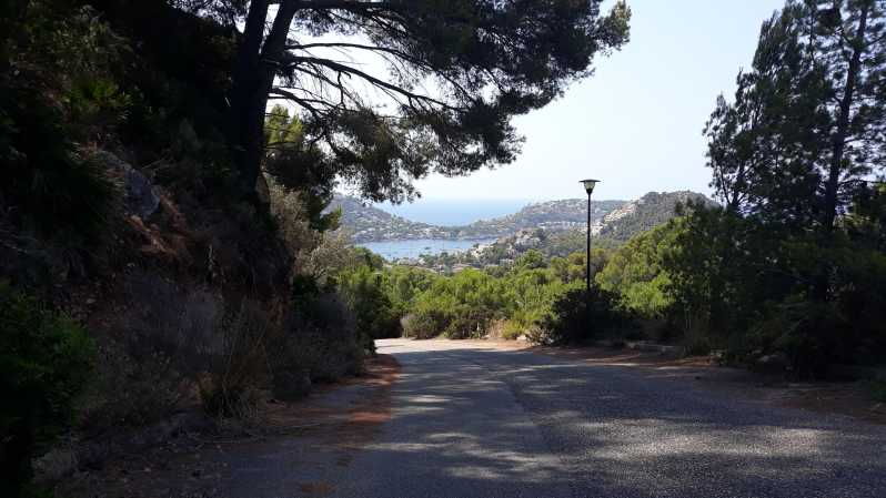 Cycling Tour From Coast to Coast - Tour Overview