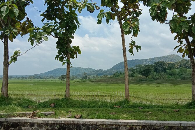 Cycling Village Tour Kulonprogo - Inclusions and Add-ons