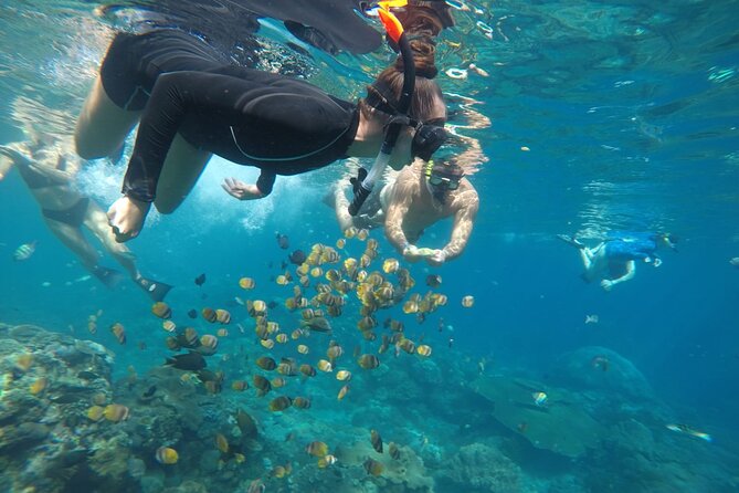 Daily West Nusa Penida Island and Snorkeling Tour With Lunch From Bali