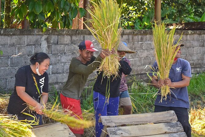 Day in the Life of a Balinese Farmer Immersion Tour