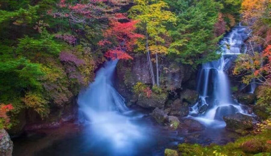 Day Tour Visit to Nikko Toshugo From Tokyo - Tour Overview