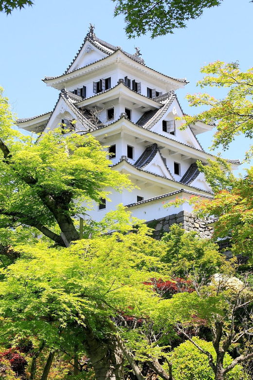 Day Trip From Nagoya（Gujo Hachiman ,Takayama & Shirakawago）