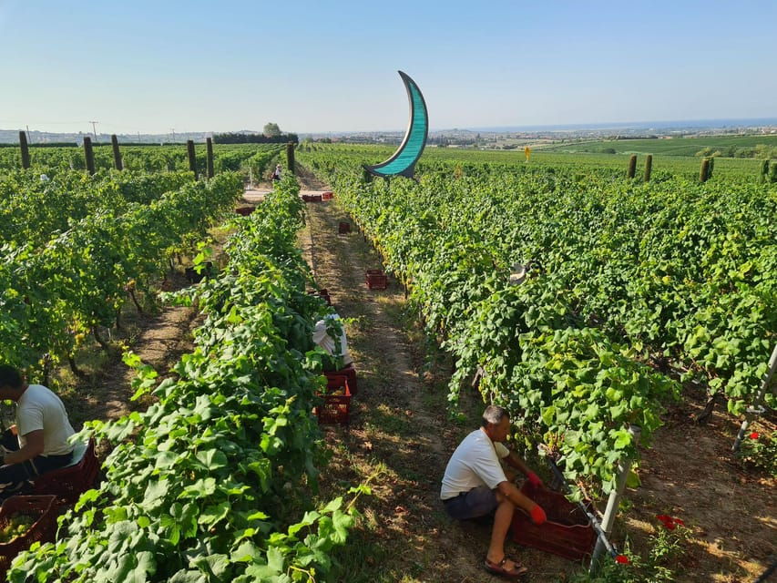 Daytrip:Gerovassiliou Winery,Petralona Cave & Potidea Beach