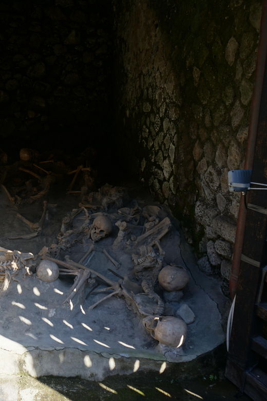 Discover Herculaneum Excavations With Insolitaguida