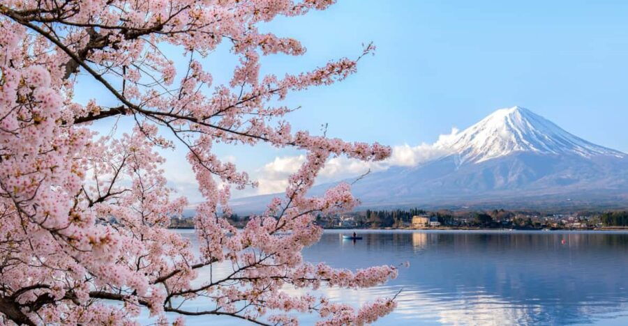 Discover Mount Fuji: Private Car/Van Day Tour From Tokyo