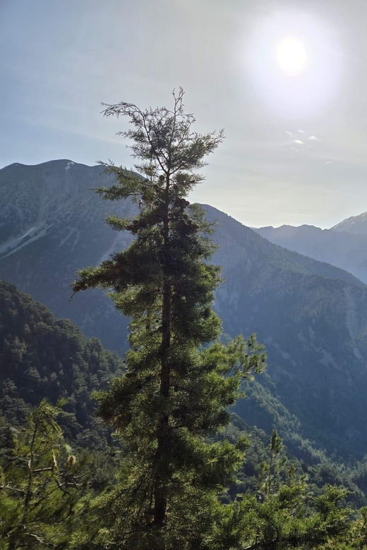 Discover Samaria, the Longest Gorge in Europe! - Overview of Samaria Gorge