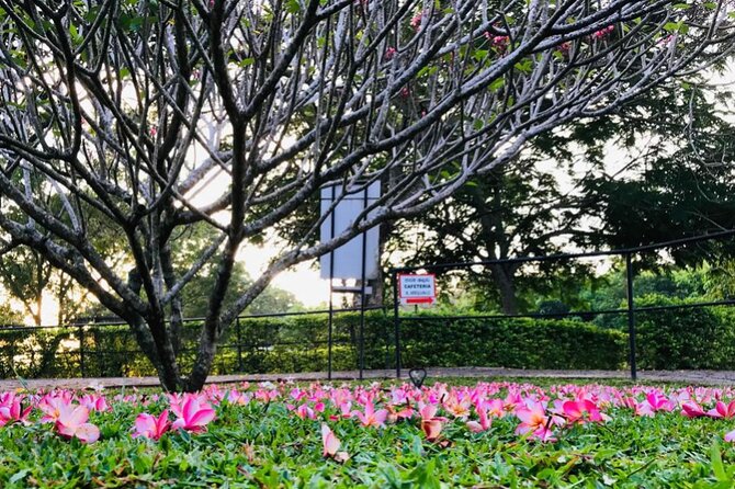 Discover the Enchanting Birds Park in Hambantota