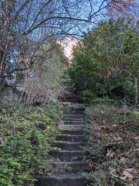 Discover the Living Beauty of Père-Lachaise - Tour Overview