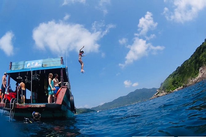 Discovery Cham Island by Speed Boat - Tour Highlights