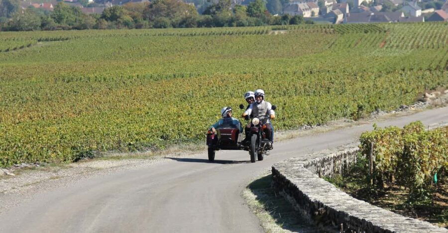 Discovery of the Côte De Nuits in Side-Car. 1 Hour Round. - Experience Overview