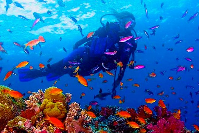 4 Best Scuba Diving Experiences In Colombo